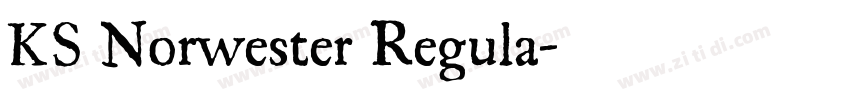 KS Norwester Regula字体转换